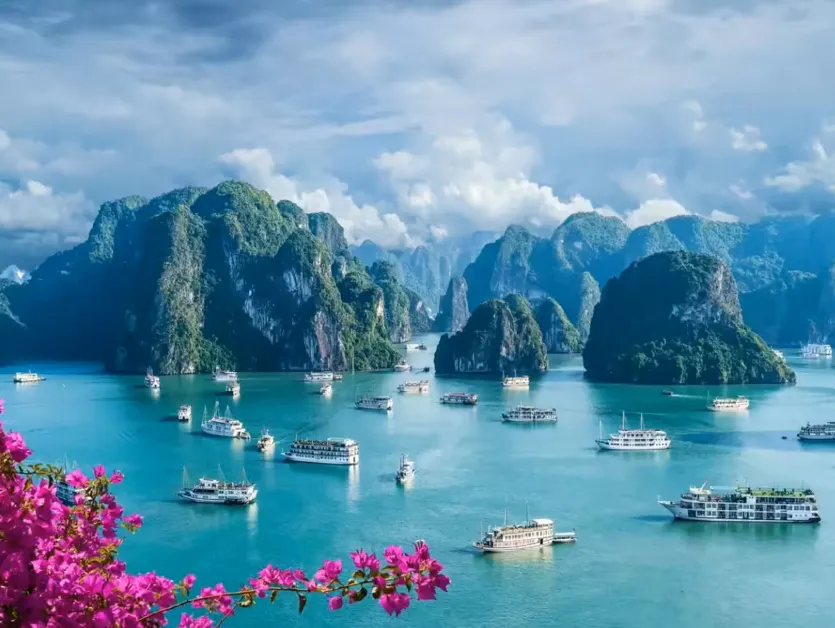 Vietnam: Top Choice for Business Setup and Expansion in 2025-2026